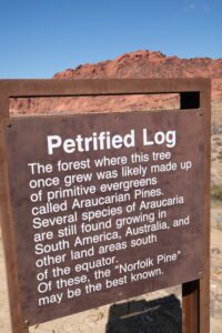 Valley of Fire Park in Las Vegas with an RV