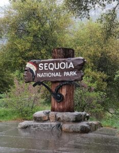 Sequoia National Park
