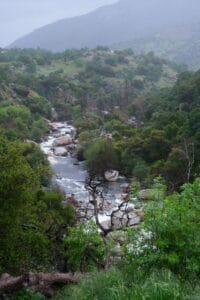 Sequoia National Park