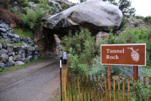 Sequoia National Park