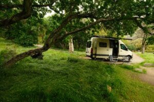 Sequoia National Park