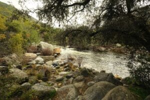 Sequoia National Park