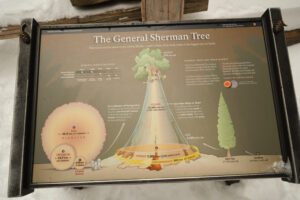 Winter RV Rental Las Vegas