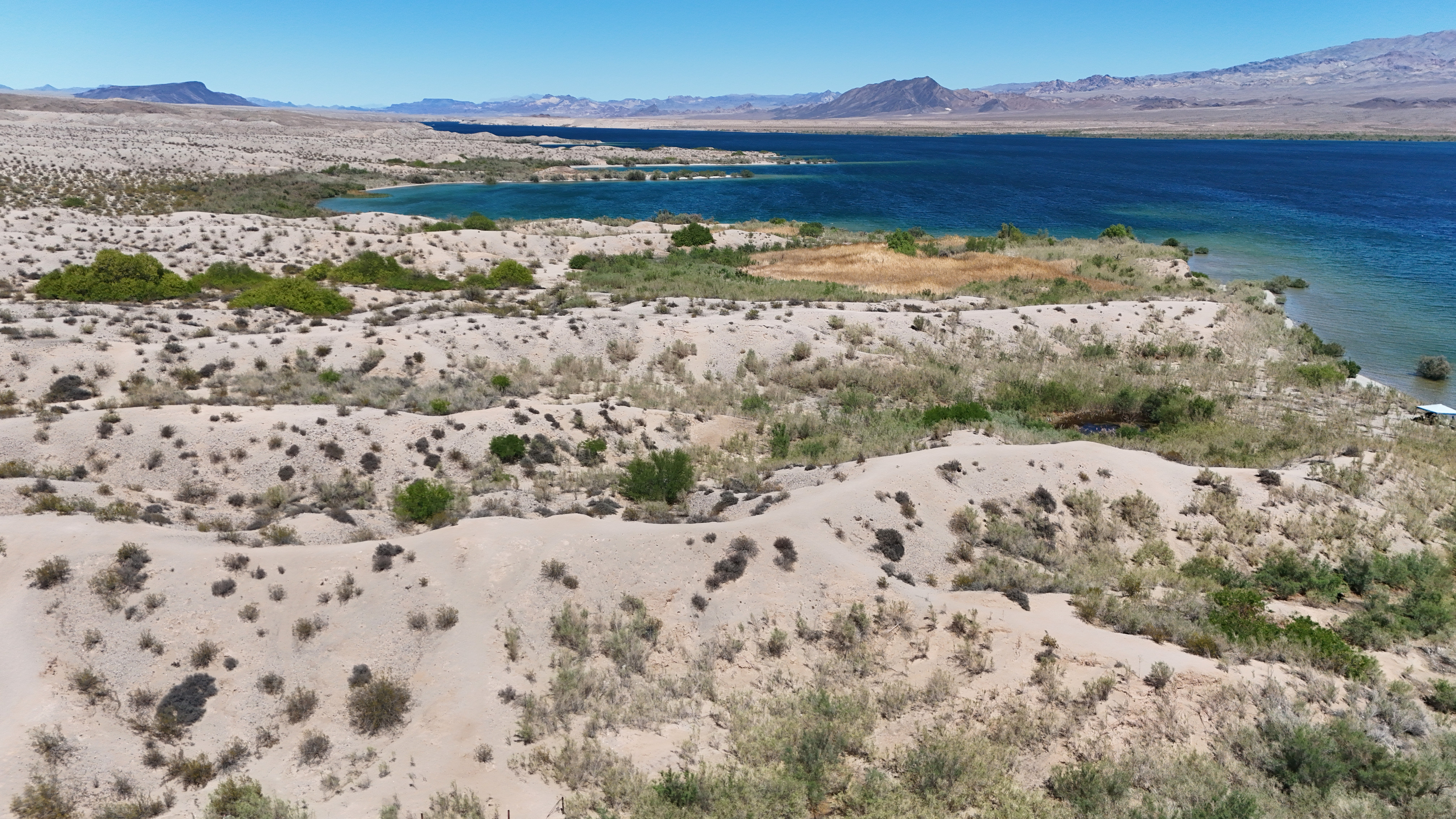 RV Camping Experience