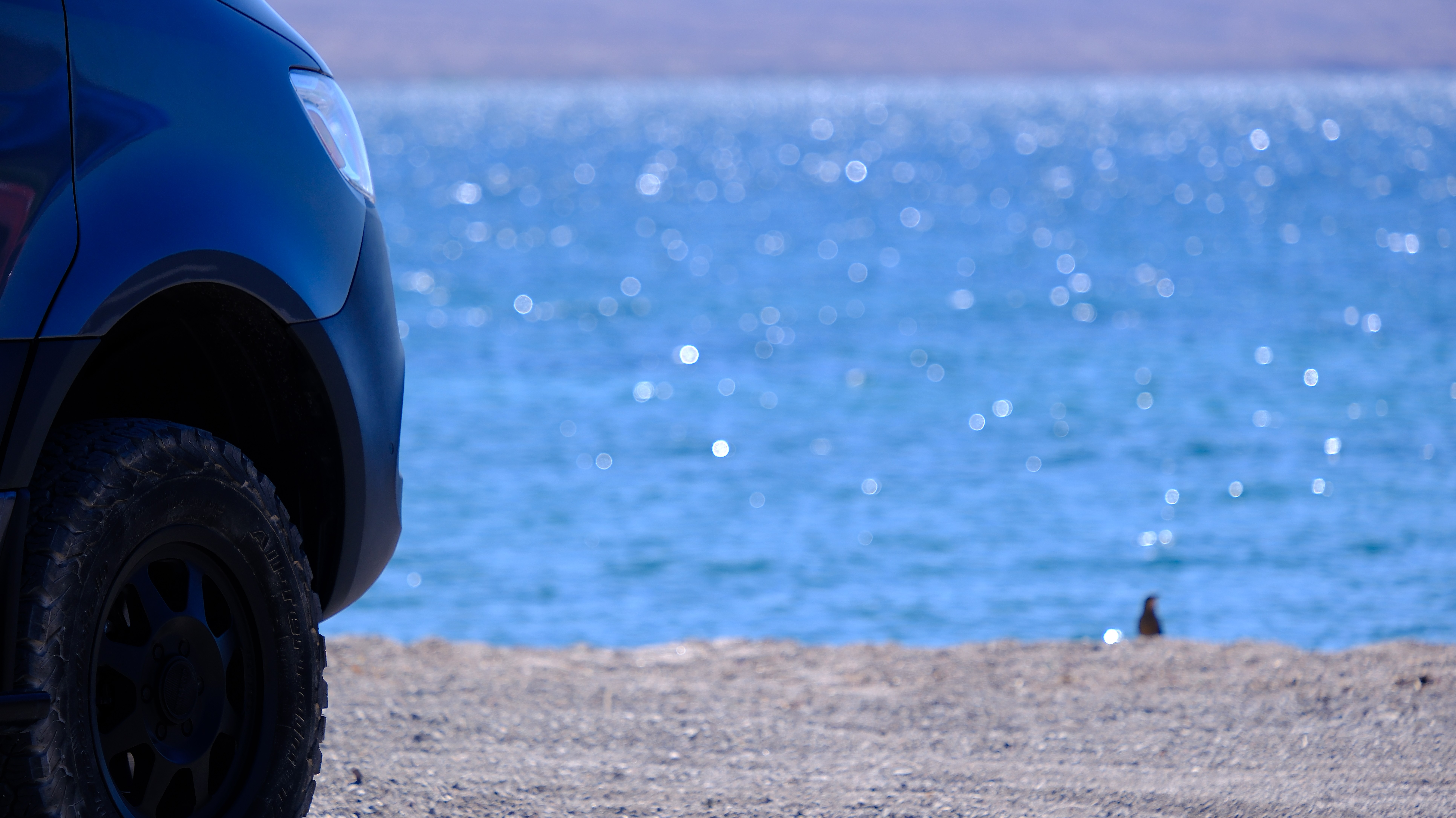 RV Camping Experience