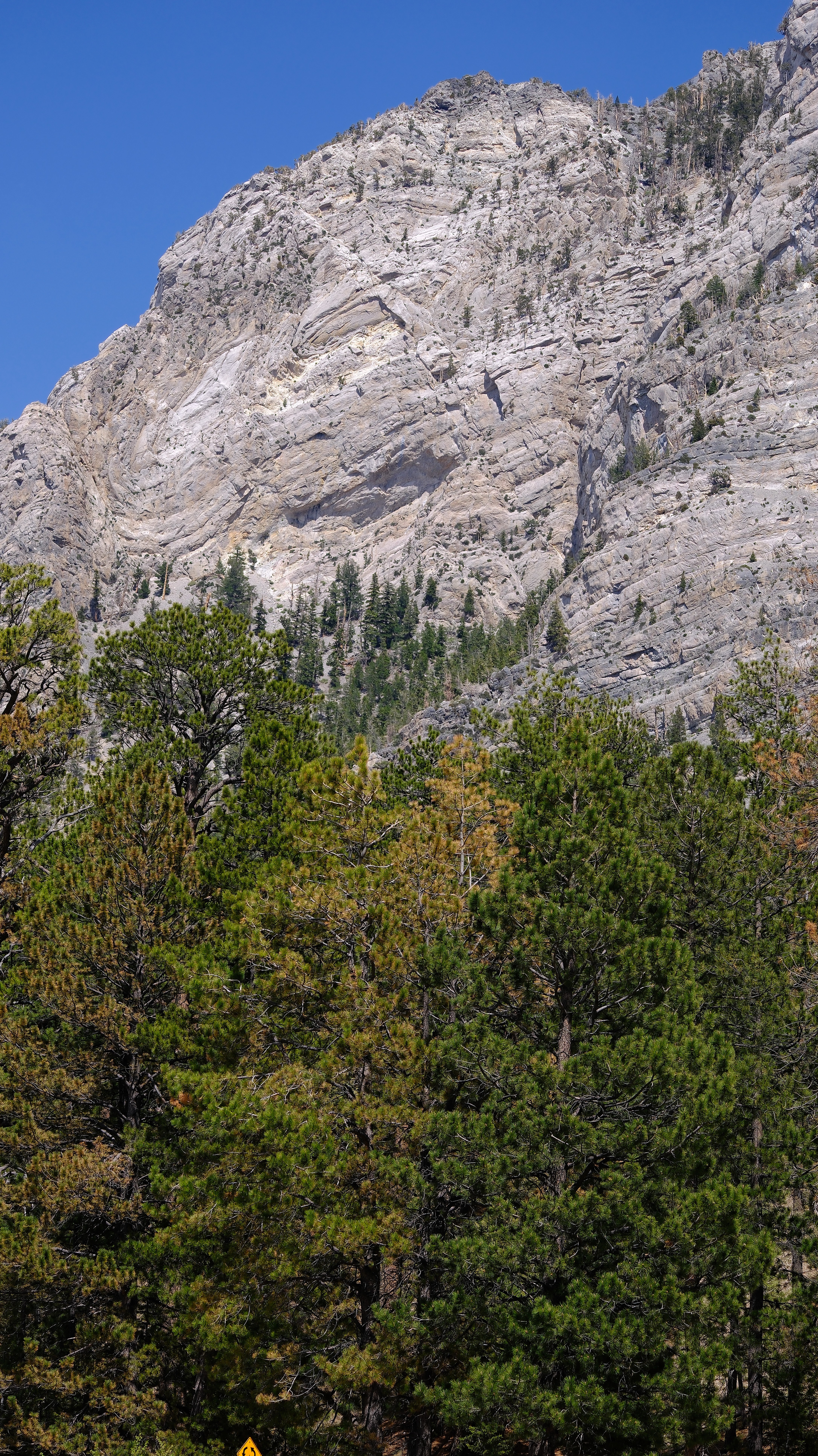Lee Canyon Mountain Charleston