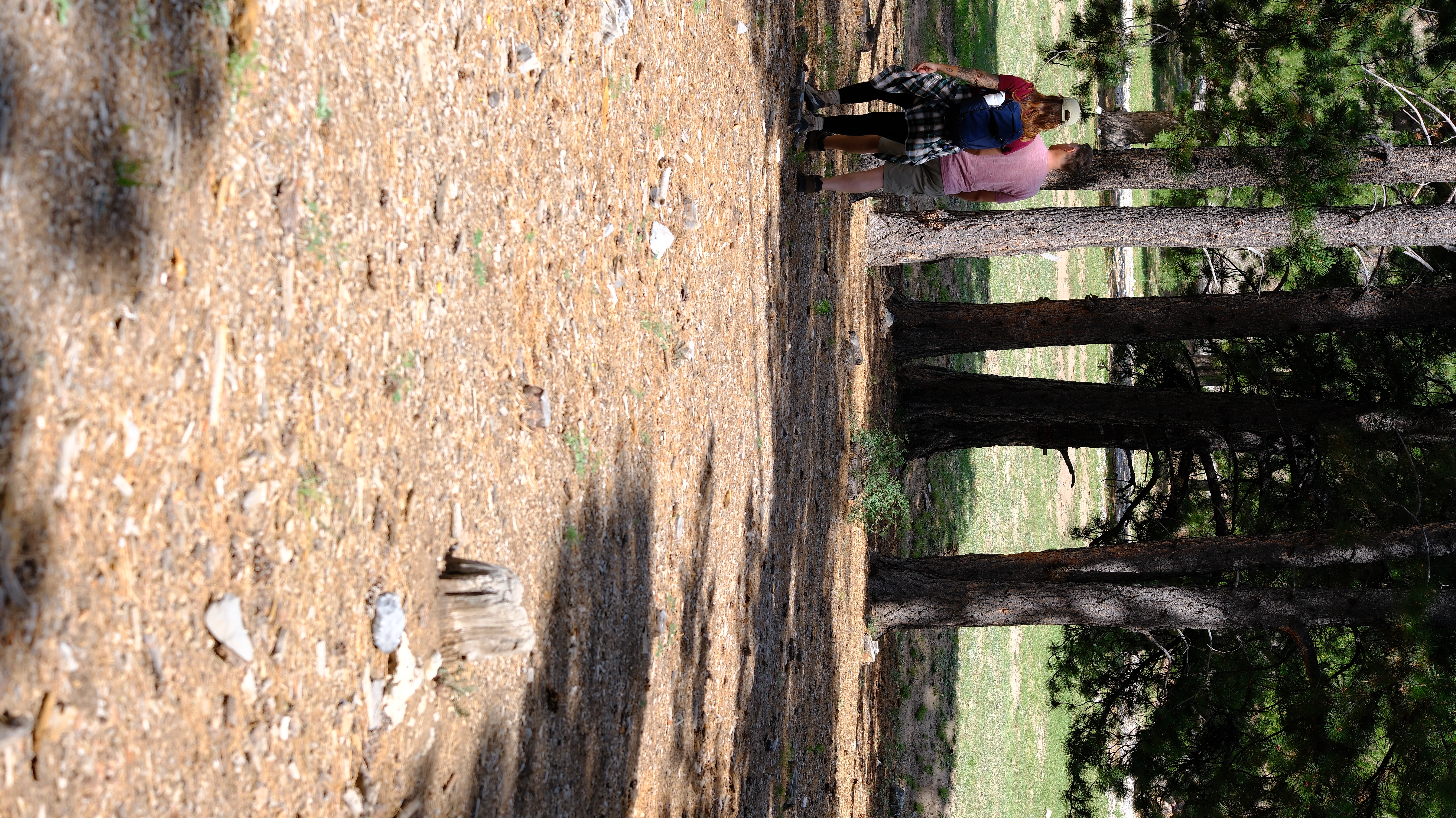 Lee Canyon Mountain Charleston