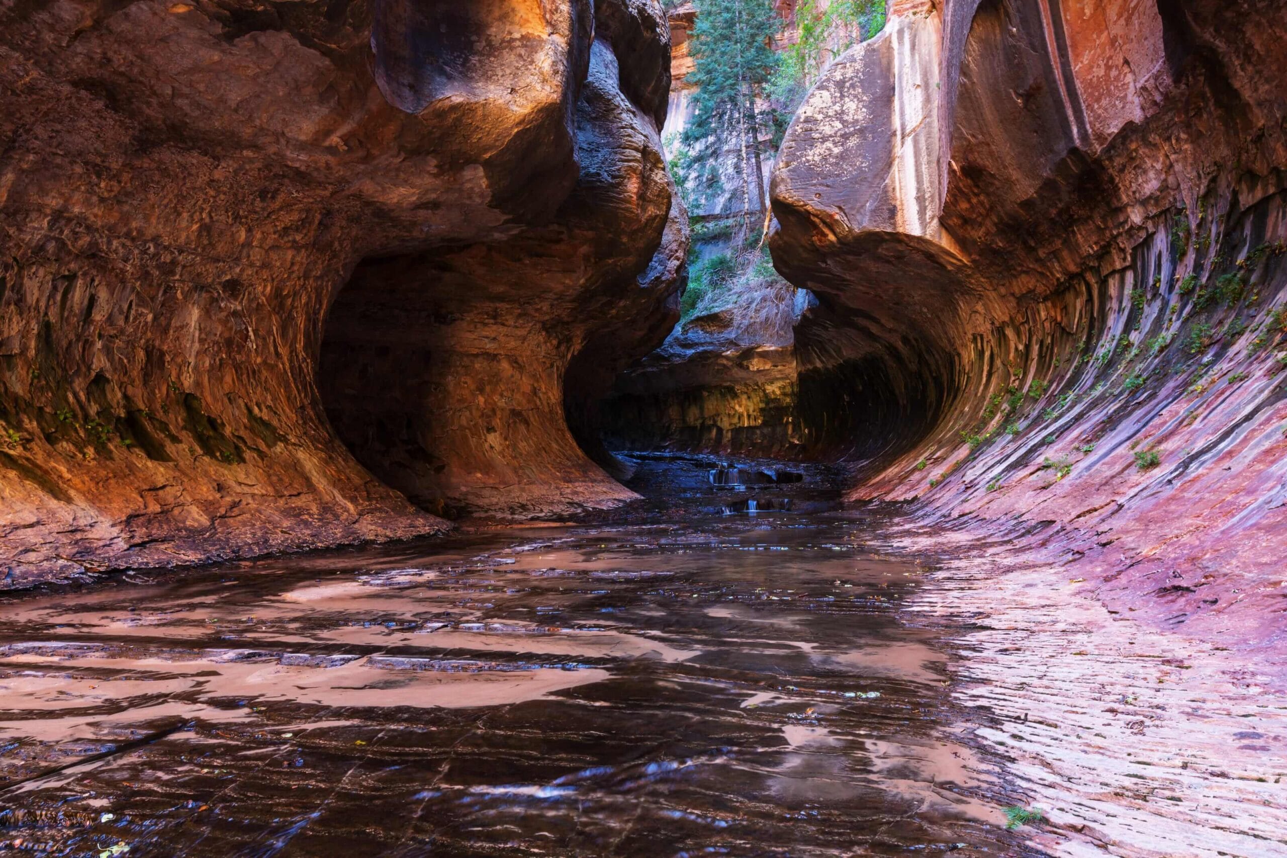 Zion National Park campervan adventure