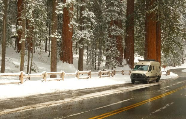Snowy day in Sequoia National Park