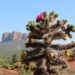 Sedona, Arizona 3-Day Camper Adventure