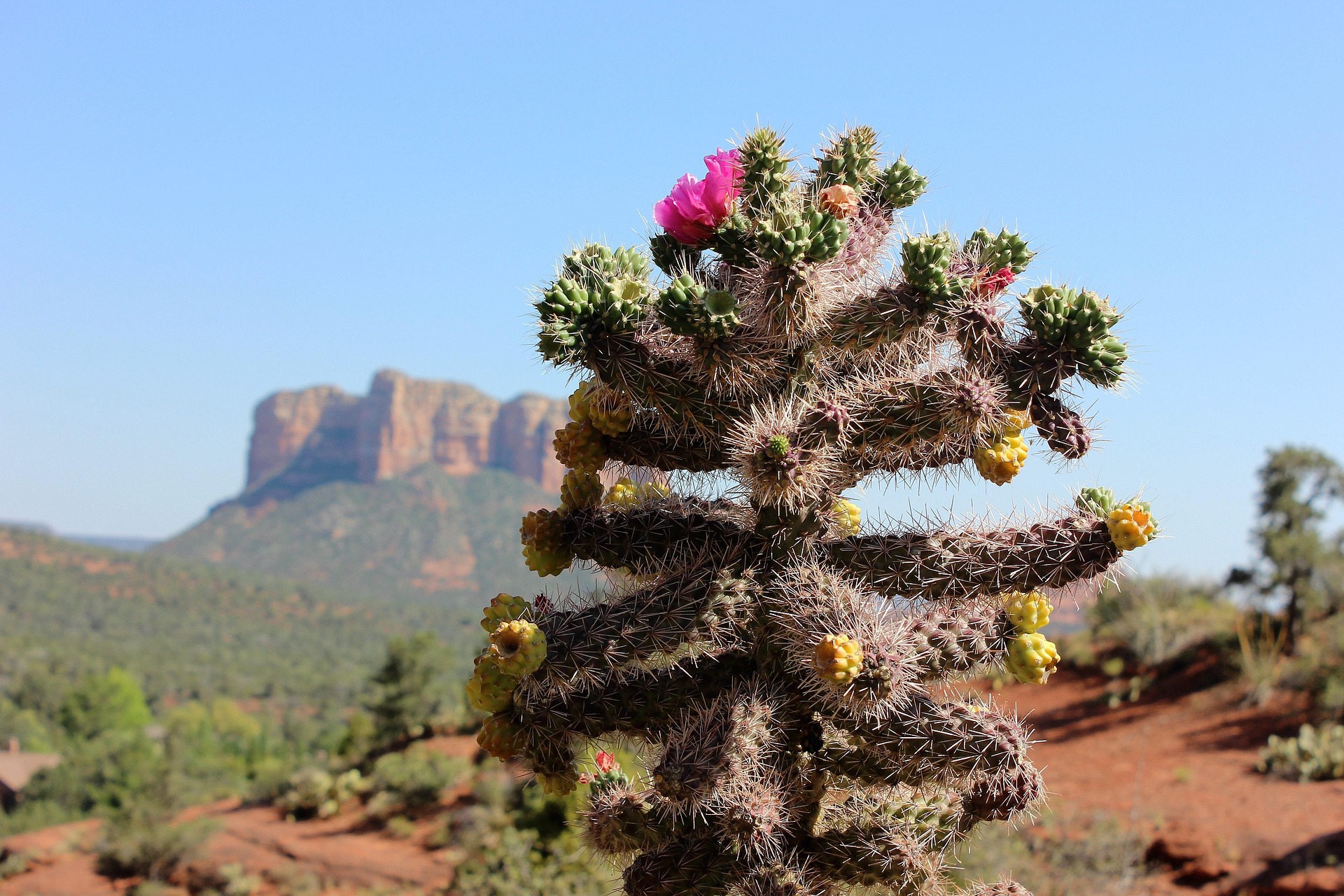 Sedona (Arizona) 3-Day Camper Adventure
