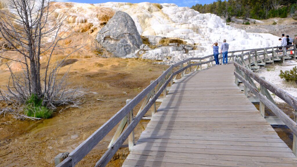 RV Rental for Yellowstone National Park