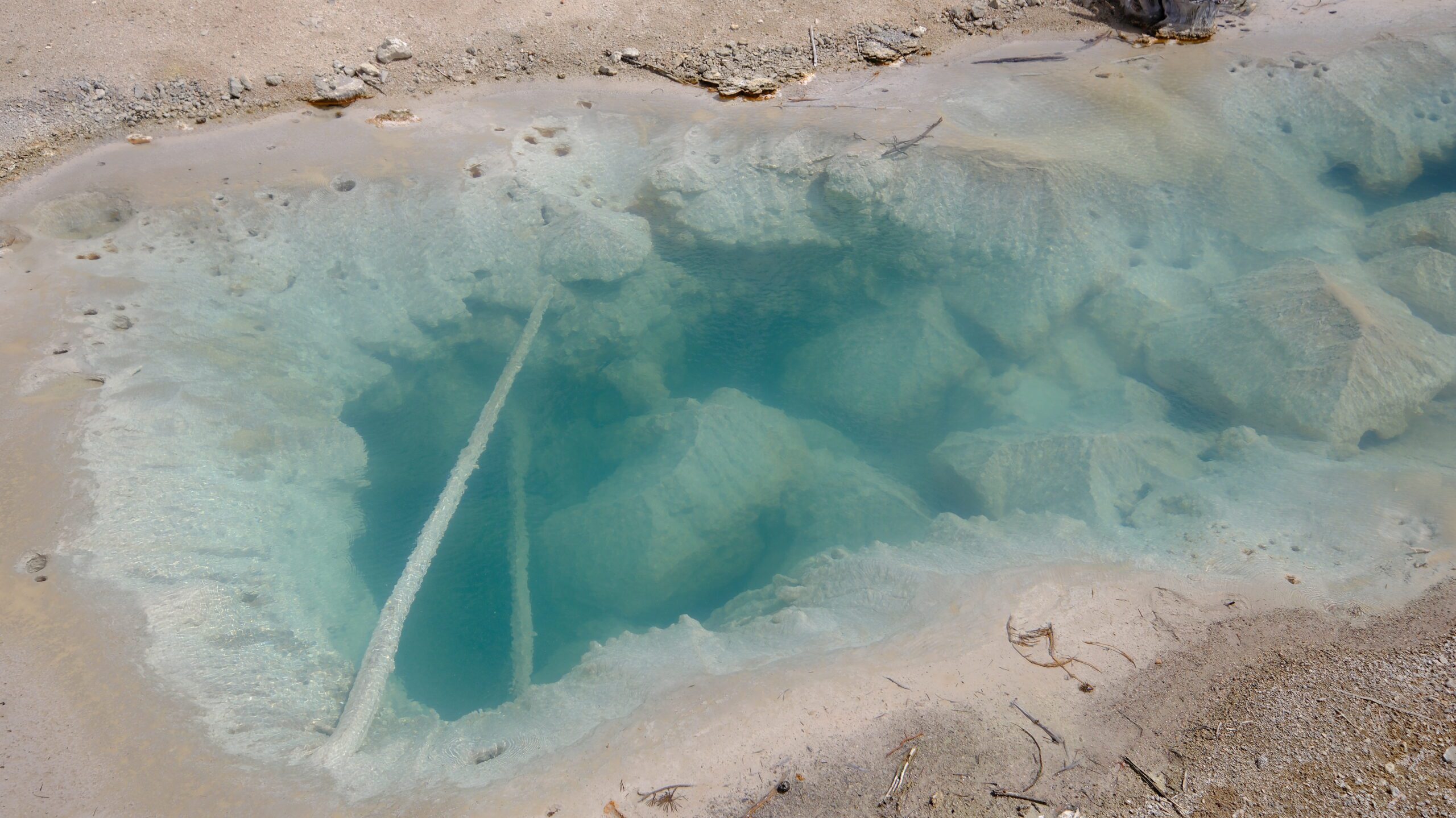 Yellowstone National Park landscape