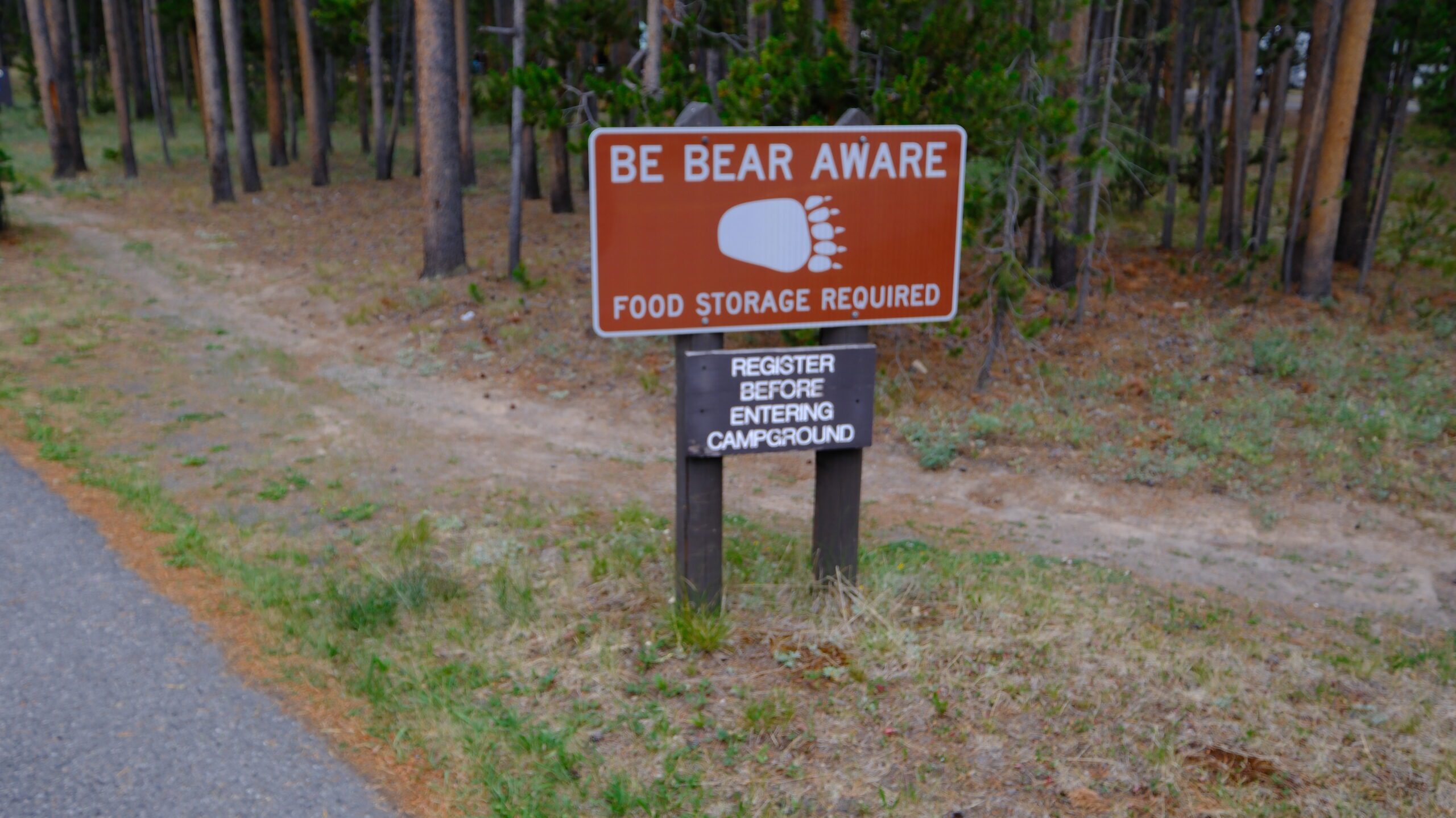 Yellowstone scenic road trip