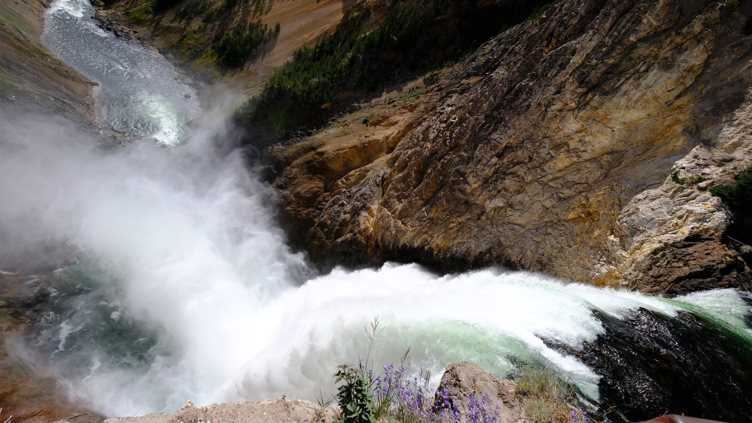 Yellowstone RV travel