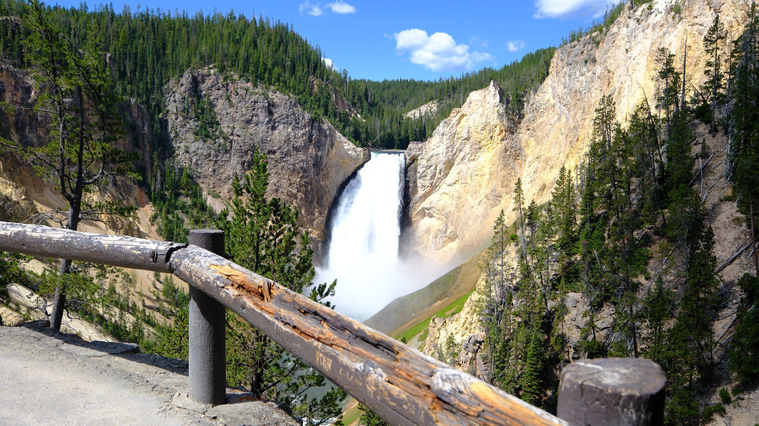 Yellowstone campervan adventure