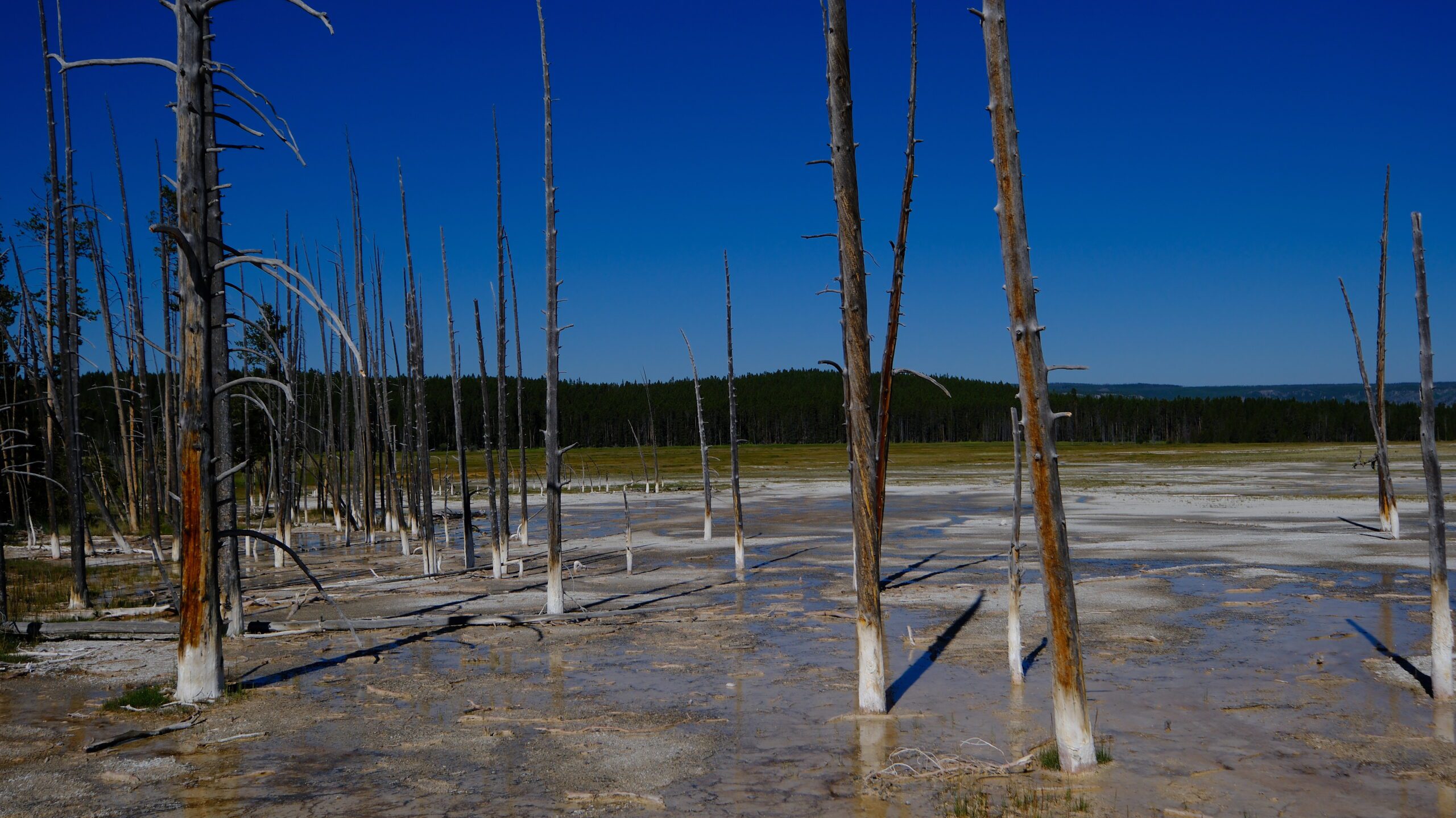 Yellowstone scenic landscape