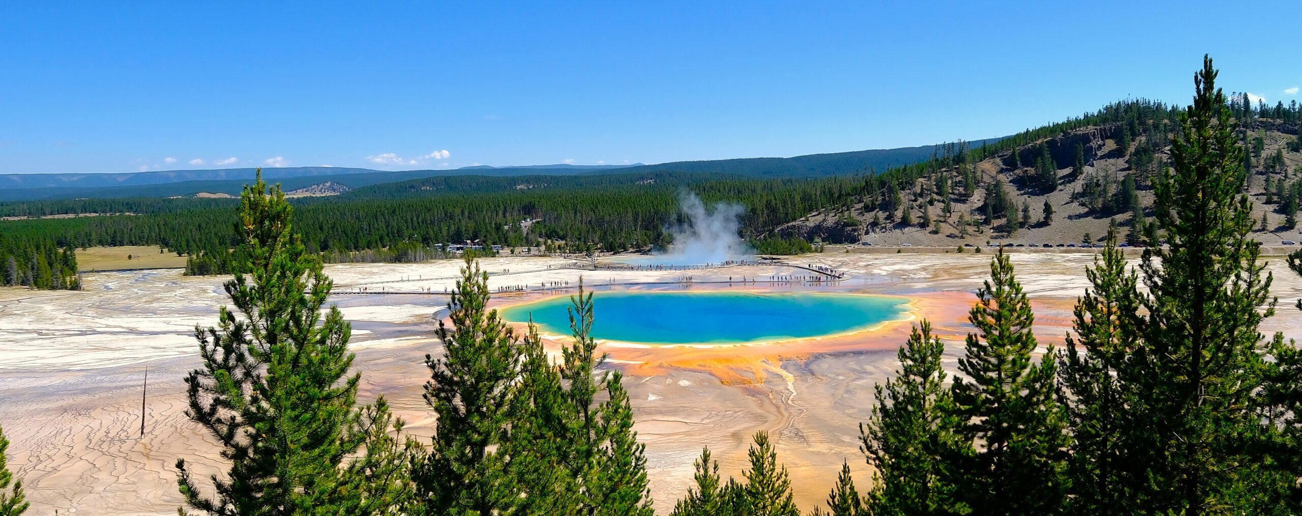 Yellowstone campervan road trip