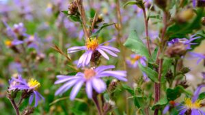 Affordable RV Rentals Near Grand Teton, Montana