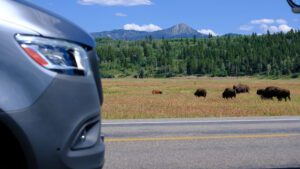 Affordable RV Rentals Near Grand Teton, Montana