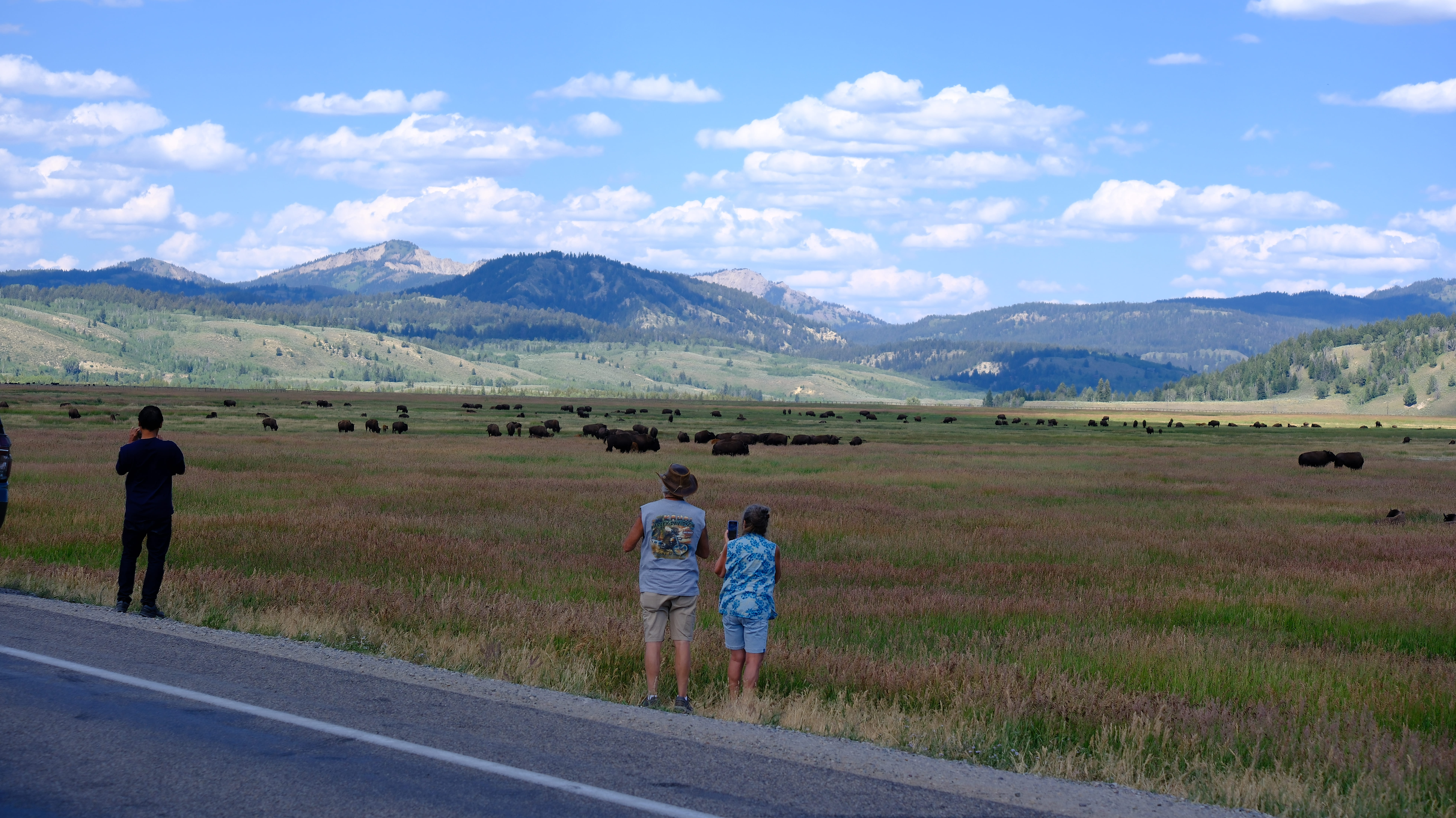 Grand Teton scenic landscape
