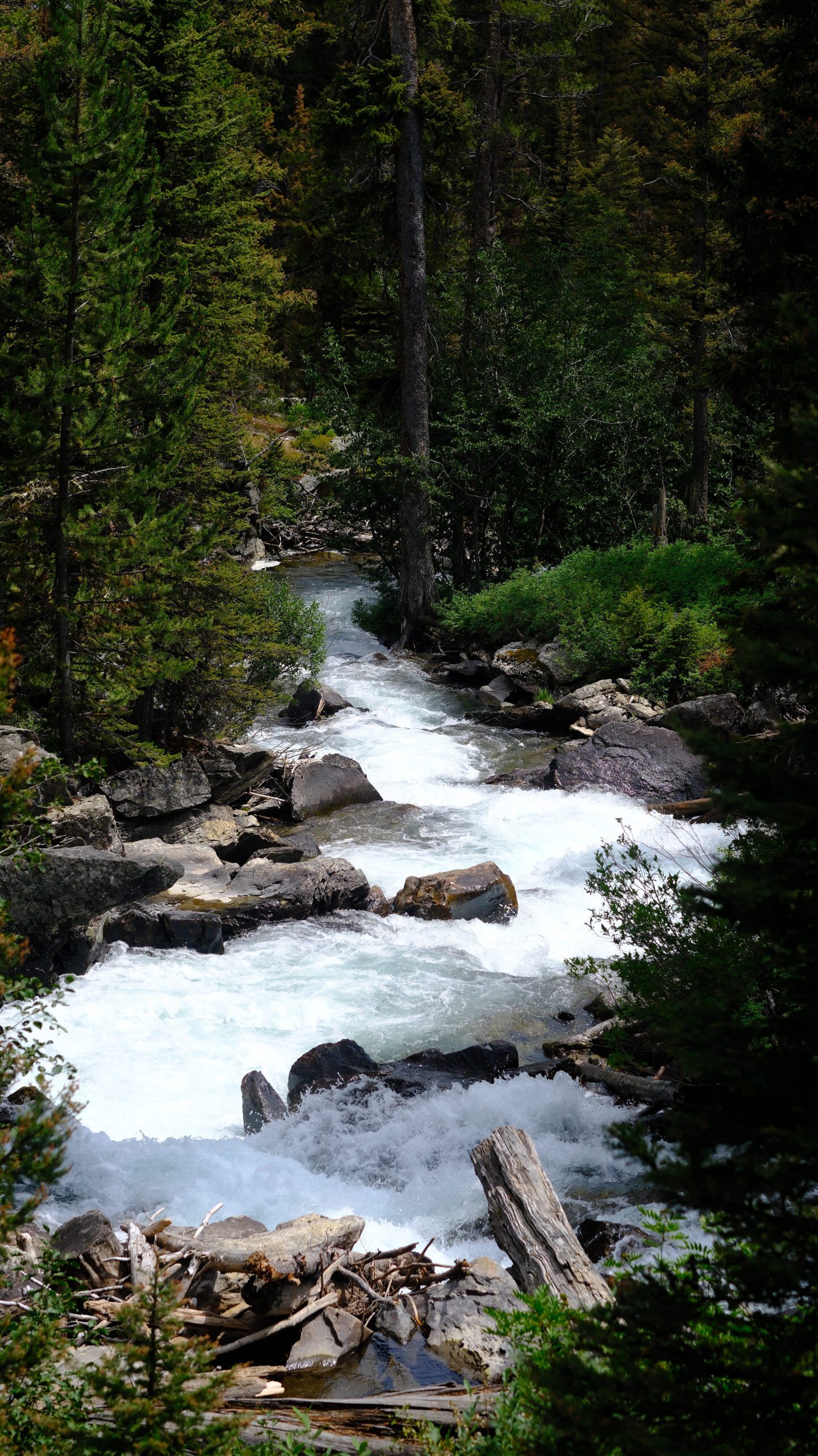 Benefits of Long Term RV Rental in Montana