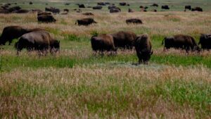 Affordable RV Rentals Near Grand Teton, Montana