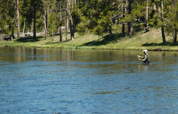 Madison Campground Guide: RV Camping in Yellowstone