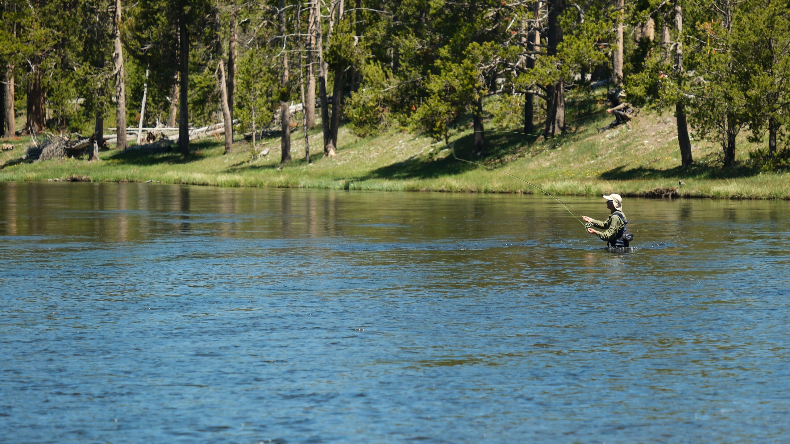 Madison Campground Guide: RV Camping in Yellowstone