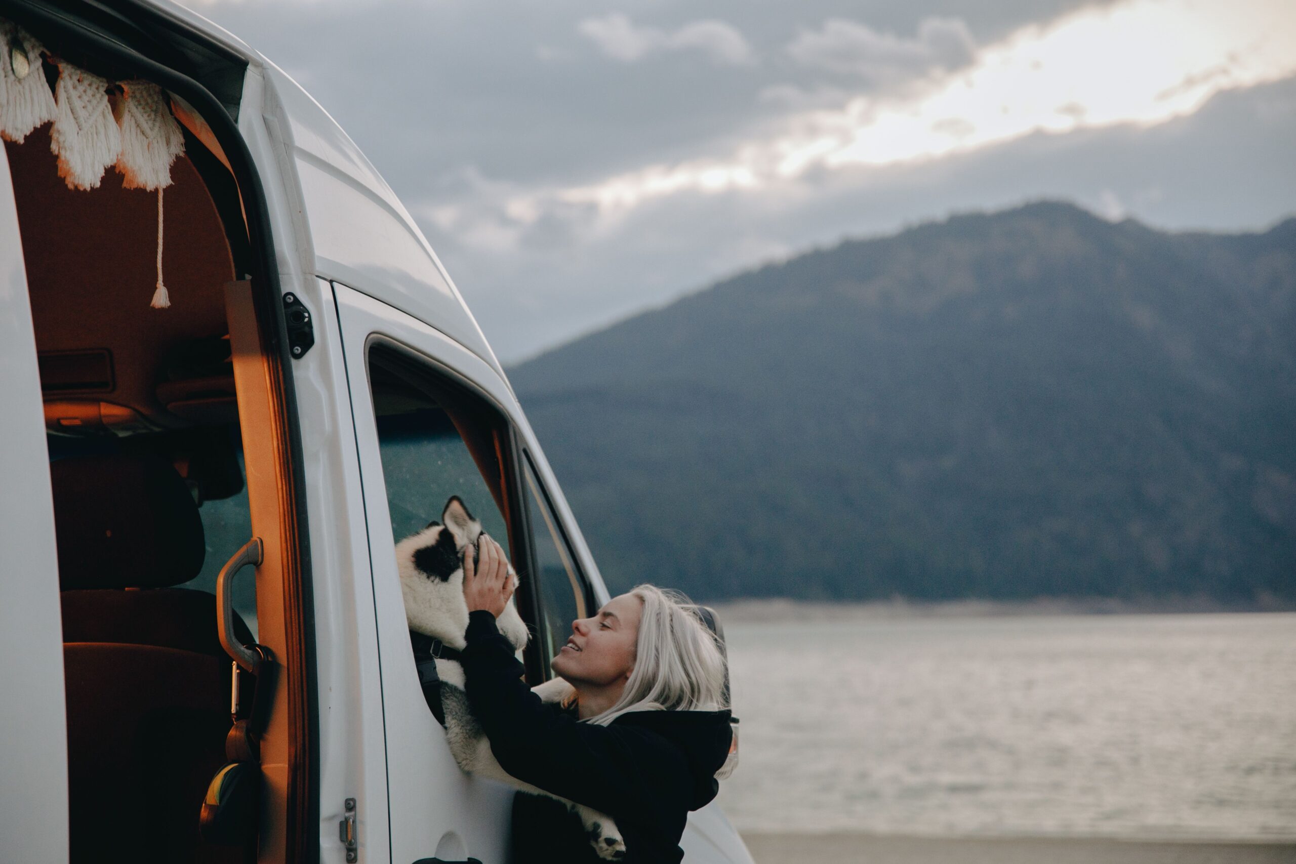Pet Friendly Campervan